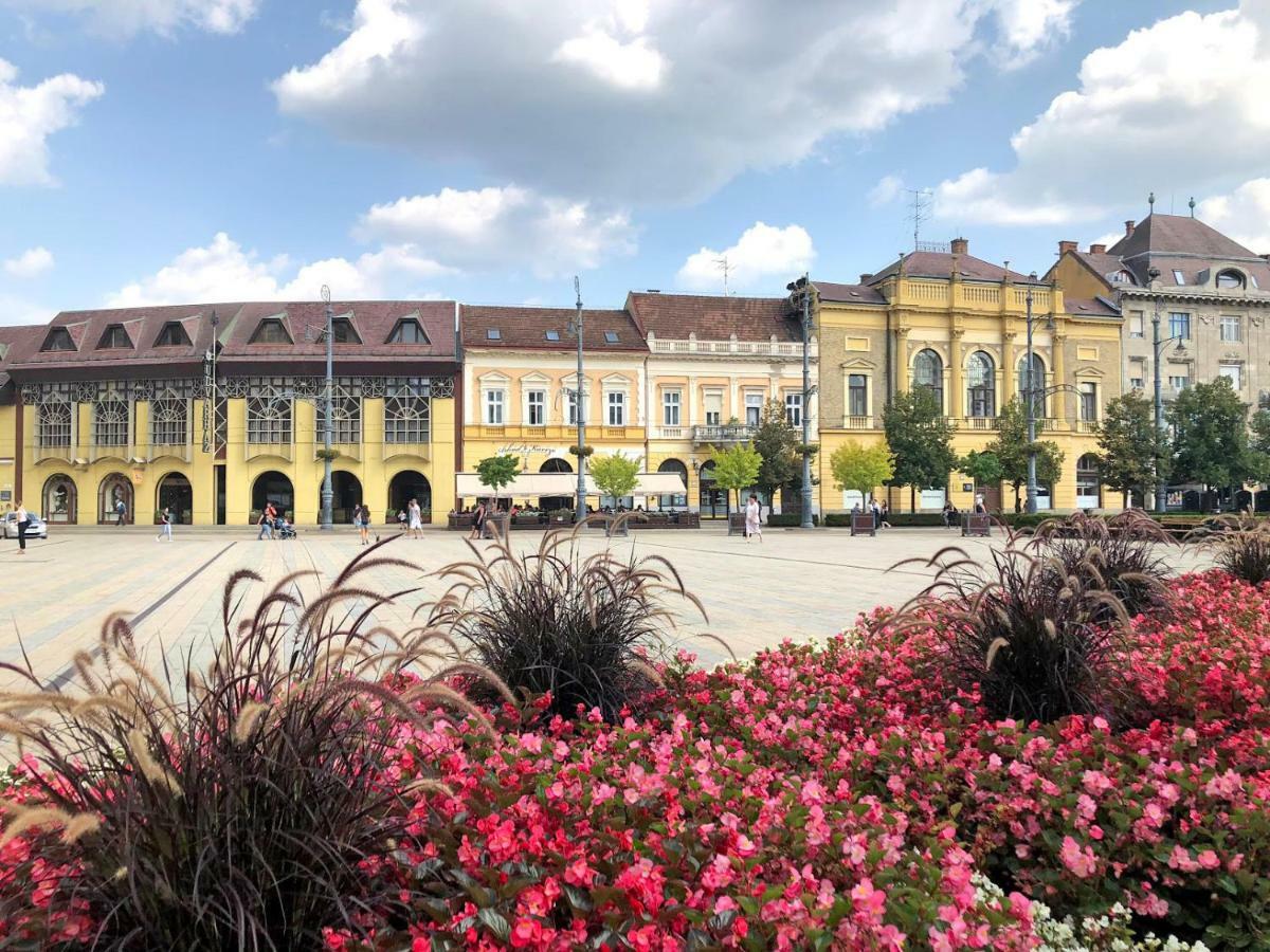 M37 Apartman Debrecen Exteriör bild